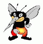 NetObjects Fusion Essentials