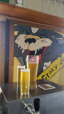 11407163_853326054761214_5268239996241099730_n